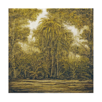 Untitled (from the Deserto-Modelo series), 2018